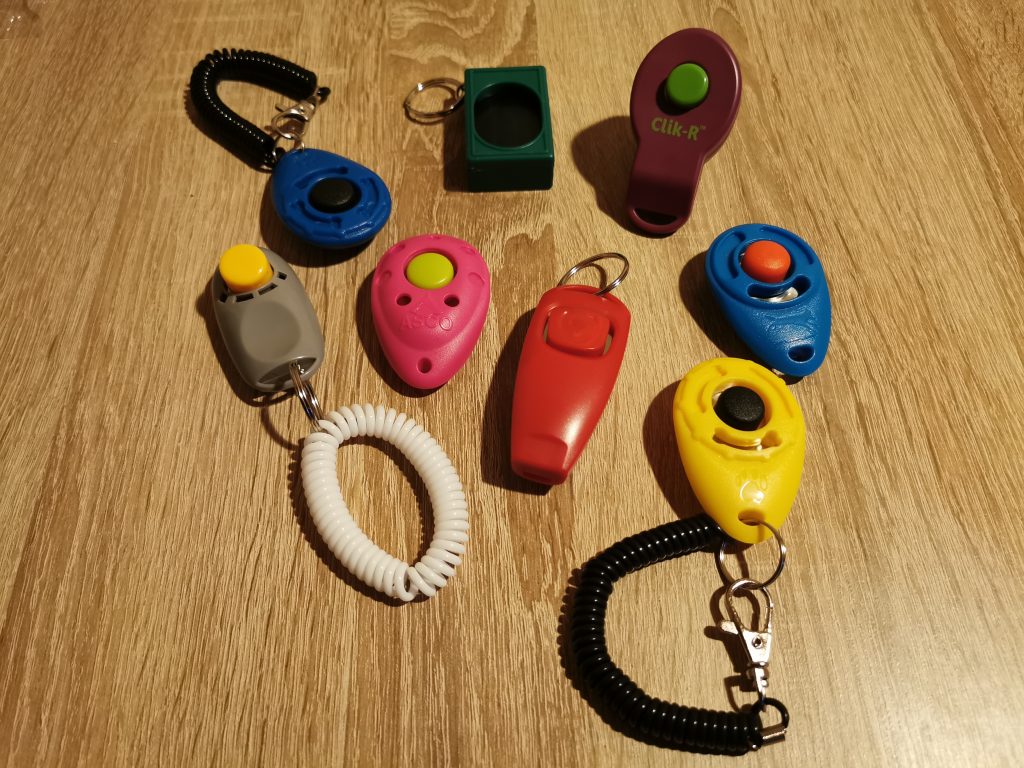 Die 7 besten Clicker im Test inklusive Testsieger [jahr]