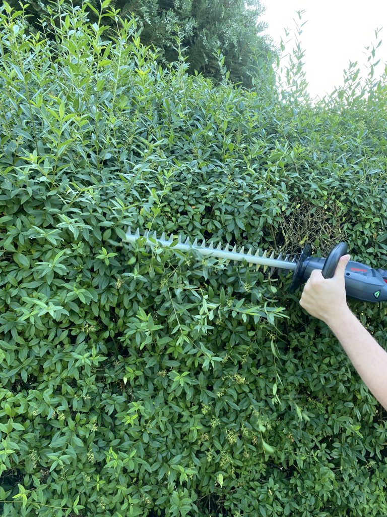 AL-KO HT 1845 Akku-Heckenschere Hecke schneiden 3
