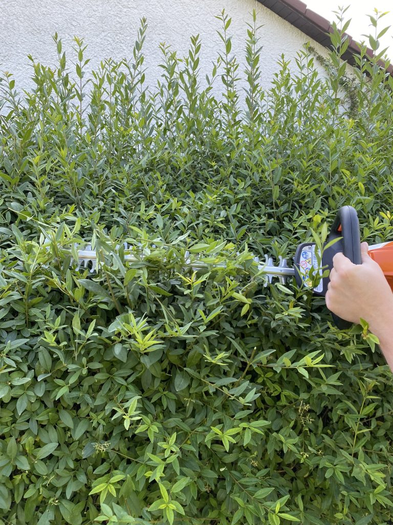 Stihl HSA 50 Akku-Heckenschere Hecke schneiden 7