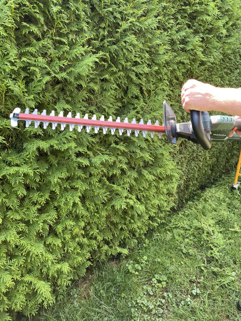 Metabo HS 18 LTX 55 Akku-Heckenschere Thuja schneiden 1