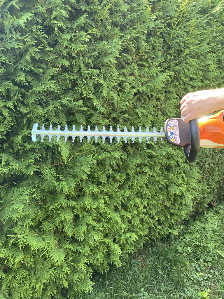 Stihl HSA 50 Akku-Heckenschere Thuja schneiden 1