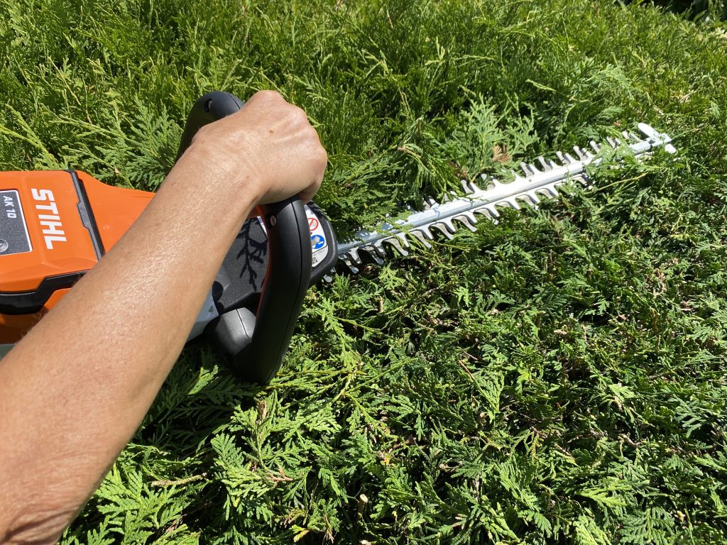 Stihl HSA 50 Akku-Heckenschere Thuja schneiden 4