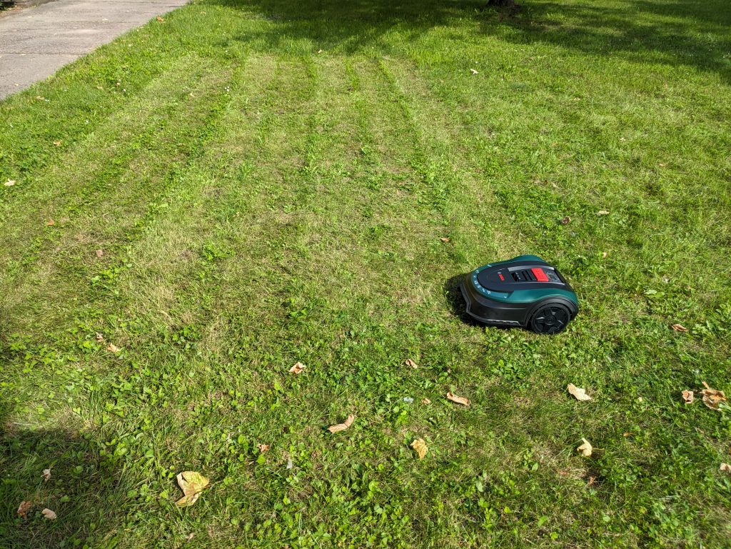 Bosch Home and Garden Indego XS 300 Mähroboter auf der Wiese zweites Foto