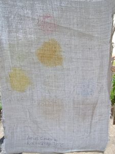 Ariel Color+ Waschmittel, Ergebnis Kaltwäsche 30 Grad, im Durchlicht