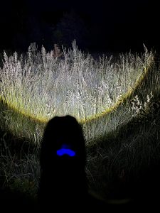 Shadowhawk DE-FR-S1476 Taschenlampe im Test