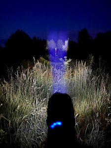 Shadowhawk DE-FR-S1476 Taschenlampe im Test