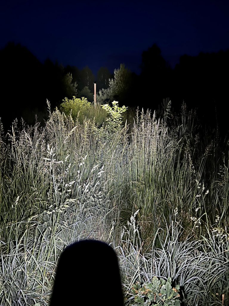 VARTA F40 NIGHT CUTTER Taschenlampe im Test