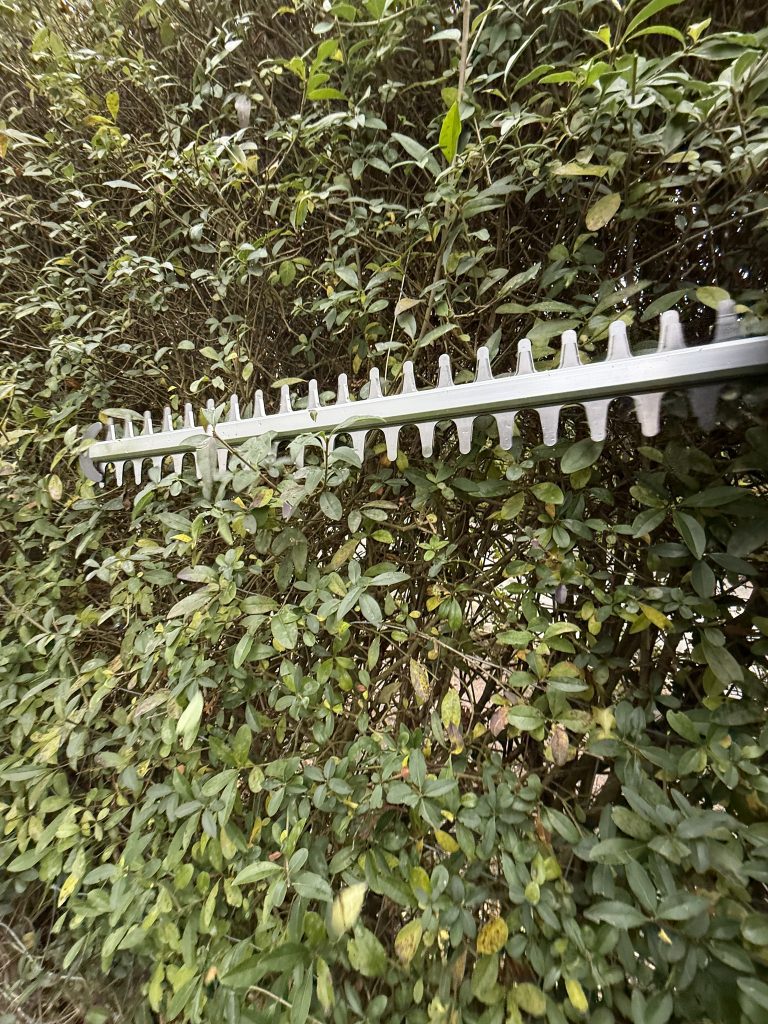 Litheli U20 U20HT00-OU110 Akku-Heckenschere beim Hecke schneiden 4