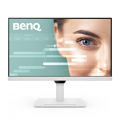 Bester Monitor für Dual-Setups
