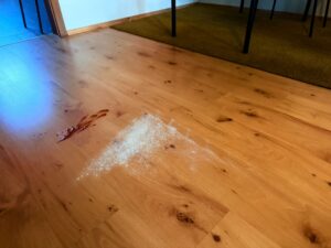 ECOVACS DEEBOT T90 PRO Omni Staubsauger-Roboter im Einsatz (5)