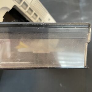 Sichler 2in1 Milbensauger Reinigung