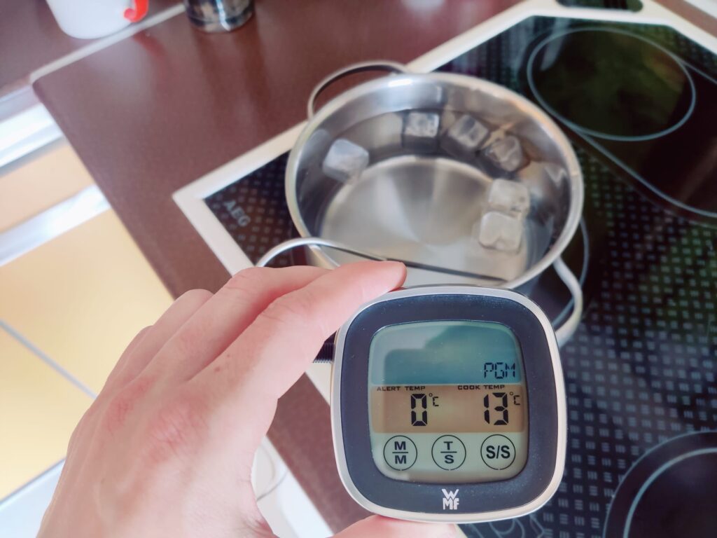 WMF 0608916030 Grillthermometer Messgenauigkeit Kältetest