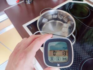 WMF 0608916030 Grillthermometer Messgenauigkeit Kältetest