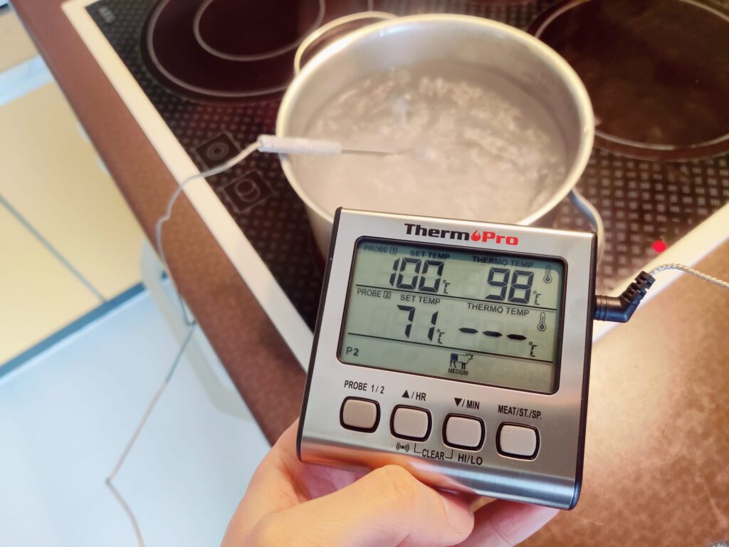 ThermoPro TP17 Grillthermometer Messgenauigkeit Hitzetest