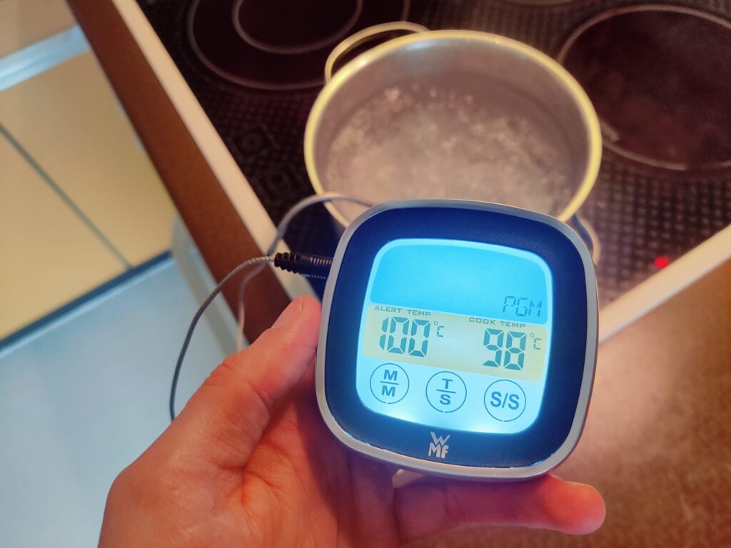 WMF 0608916030 Grillthermometer Messgenauigkeit Hitzetest