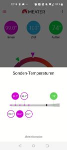 Meater Pro Grillthermometer Messgenauigkeit Hitzetest