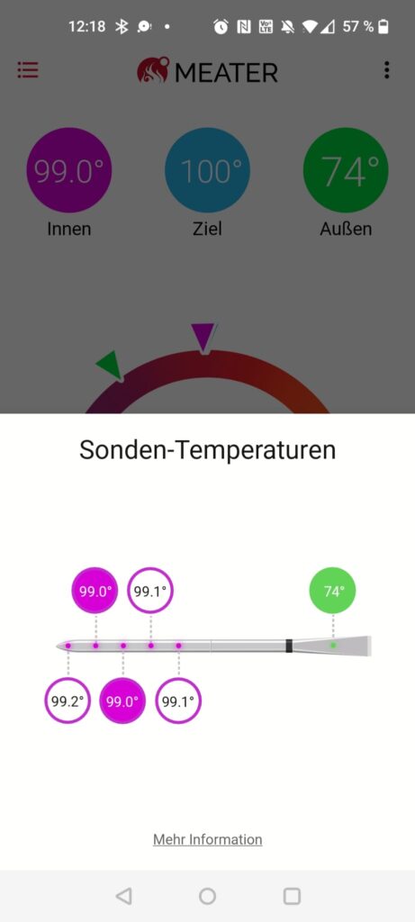 Meater Pro Grillthermometer Messgenauigkeit Hitzetest