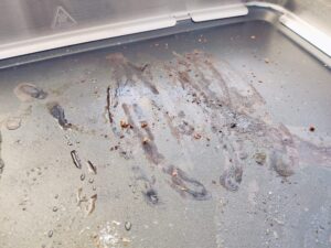 Tefal Maxi Plancha CB690D Elektrogrill Grillrückstände Würstchen und Brot