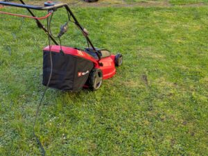 Einhell GC-EM 1742 Elektro-Rasenmäher (2)