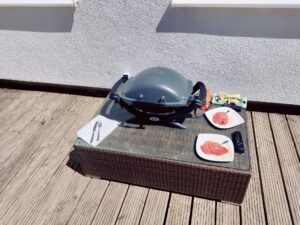 Weber Q 1400 Elektrogrill Testszenario