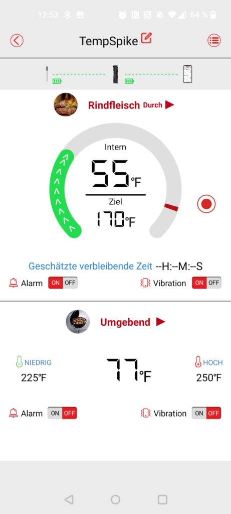 ThermoPro TP961 TempSpike Grillthermometer App Testbeginn