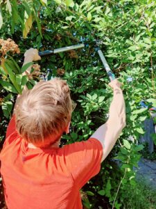 Gardena EnergyCut 750 B Astschere Reichweite im Praxistest