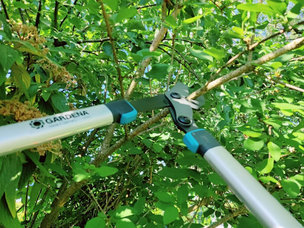 Gardena EnergyCut 750 B Astschere Frischholz-Test