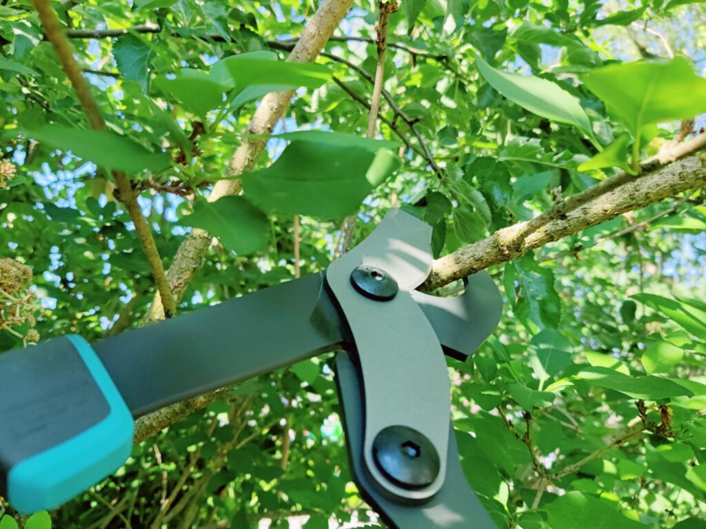 Gardena EnergyCut 750 B Astschere Schneidkopf im Einsatz