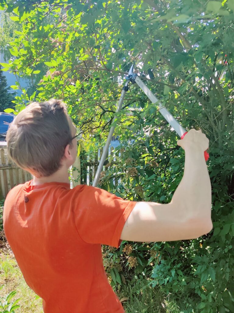 FELCO 221-90 Astschere im Praxistest