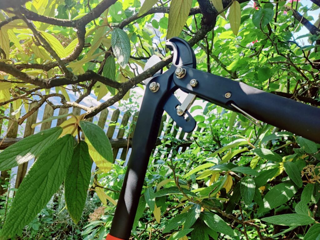 Meister WU9718000 Astschere Frischholz-Test
