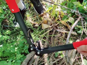 Meister WU9718000 Astschere Hartholz-Test