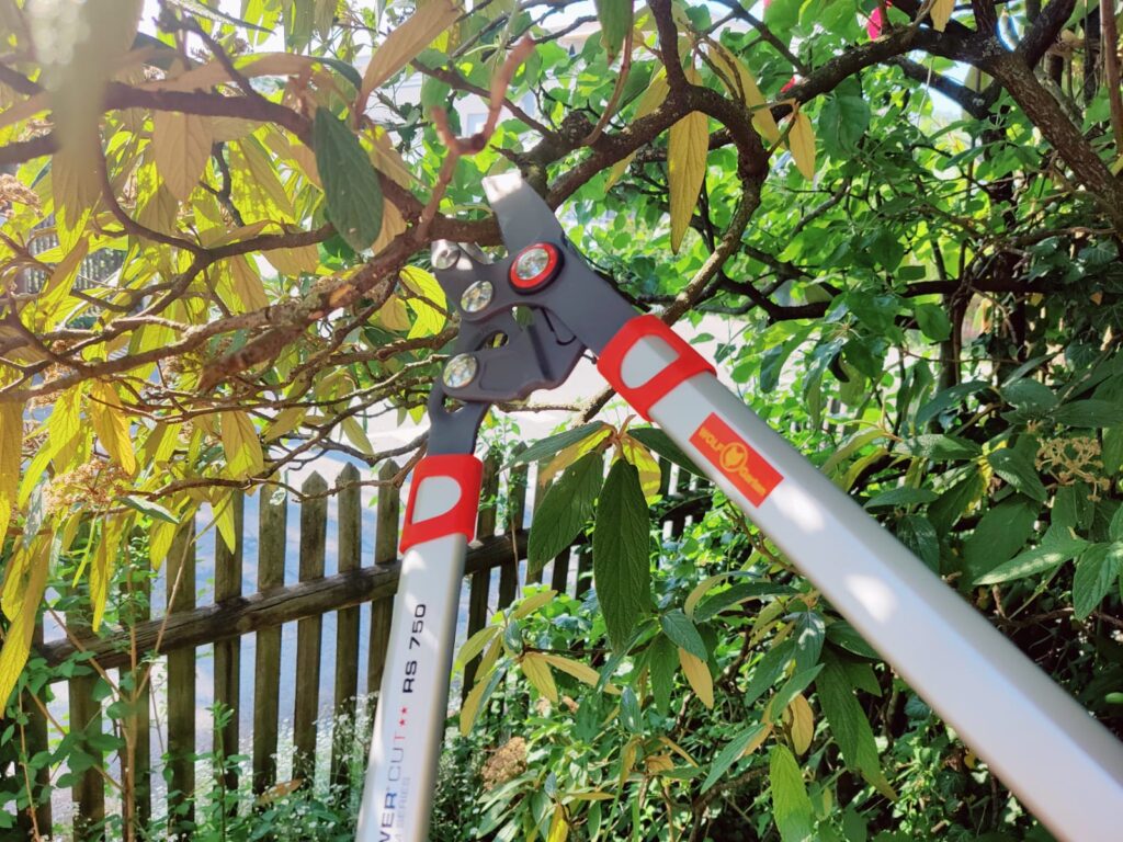 WOLF-Garten Power Cut RS 750 Astschere Frischholz-Test