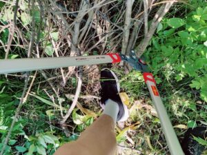 WOLF-Garten Power Cut RS 750 Astschere Hartholz-Test