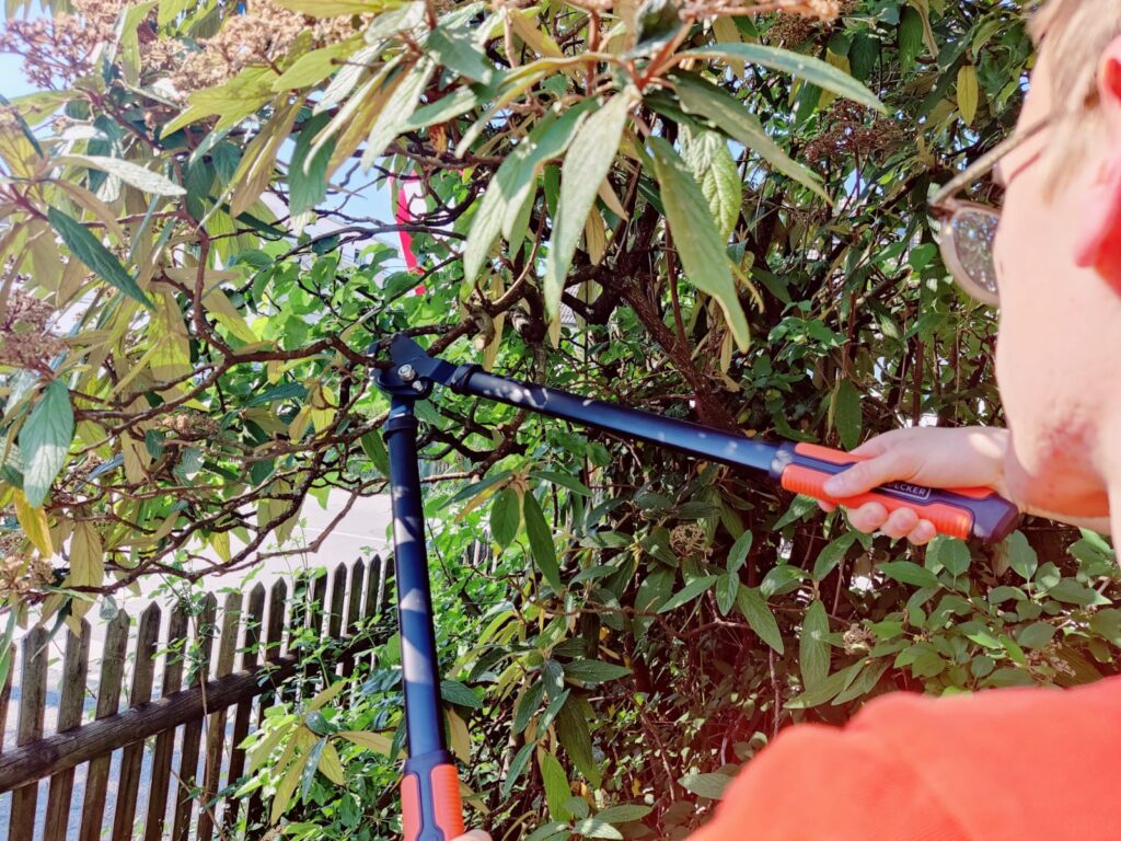 BLACK+DECKER 8711252234533 Astschere im Praxistest