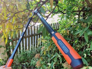 BLACK+DECKER 8711252234533 Astschere Frischholz-Test