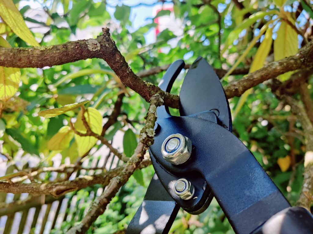 BLACK+DECKER 8711252234533 Astschere Schneidkopf im Einsatz