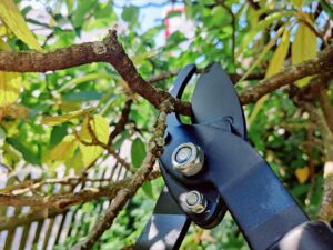 BLACK+DECKER 8711252234533 Astschere Schneidkopf im Einsatz