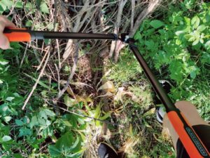 BLACK+DECKER 8711252234533 Astschere Hartholz-Test