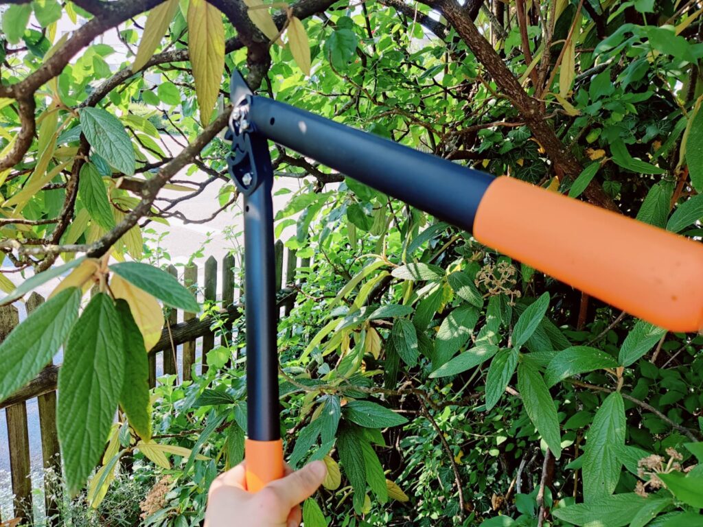 Fiskars PowerGear II L70 Astschere Frischholz-Test