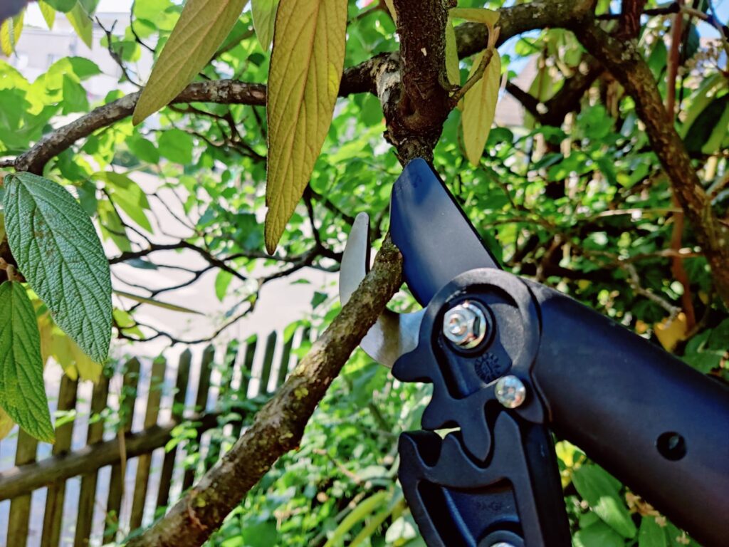 Fiskars PowerGear II L70 Astschere Schneidkopf im Einsatz
