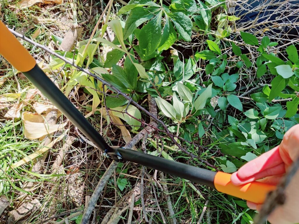 Fiskars PowerGear II L70 Astschere Hartholz-Test