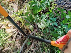 Fiskars PowerGear II L70 Astschere Hartholz-Test