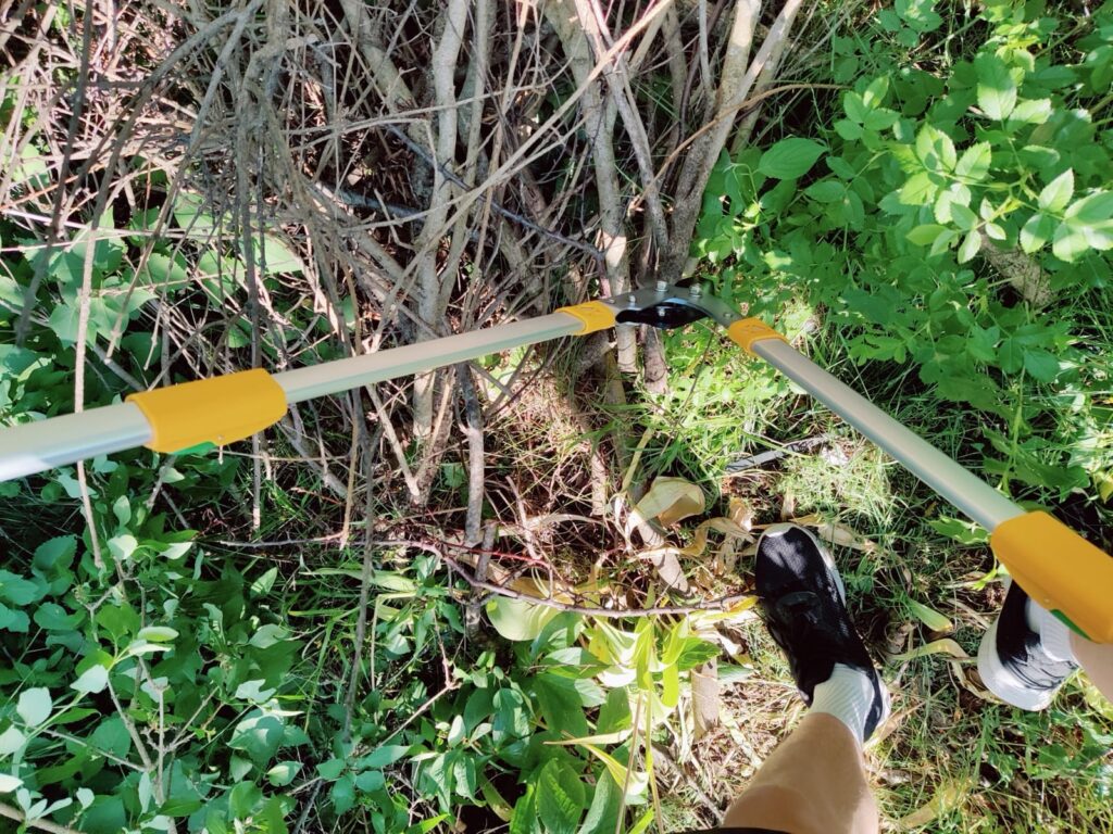 GRÜNTEK XT Astschere Hartholz-Test
