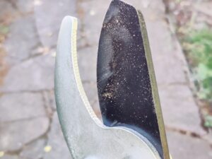GRÜNTEK XT Astschere Beschichtungsabrieb im Test