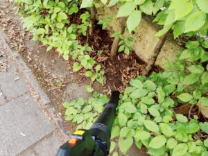 FUXTEC FX-E2LBS Laubsauger beim Laubblasen