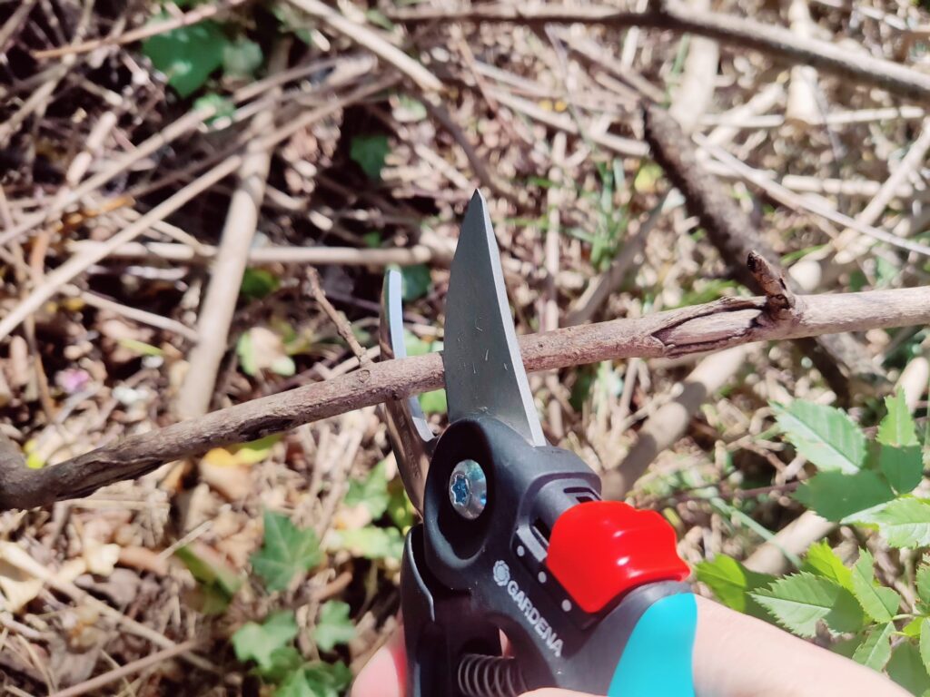 Gardena PremiumCut Flex 12242-20 Gartenschere im Praxistest