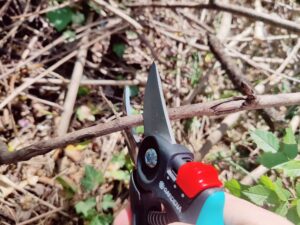 Gardena PremiumCut Flex 12242-20 Gartenschere im Praxistest