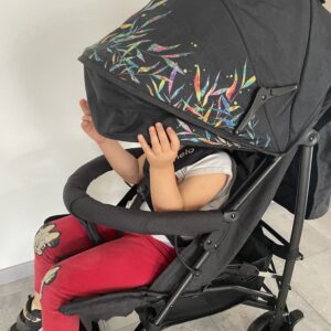 Lionelo Irma Buggy im Test