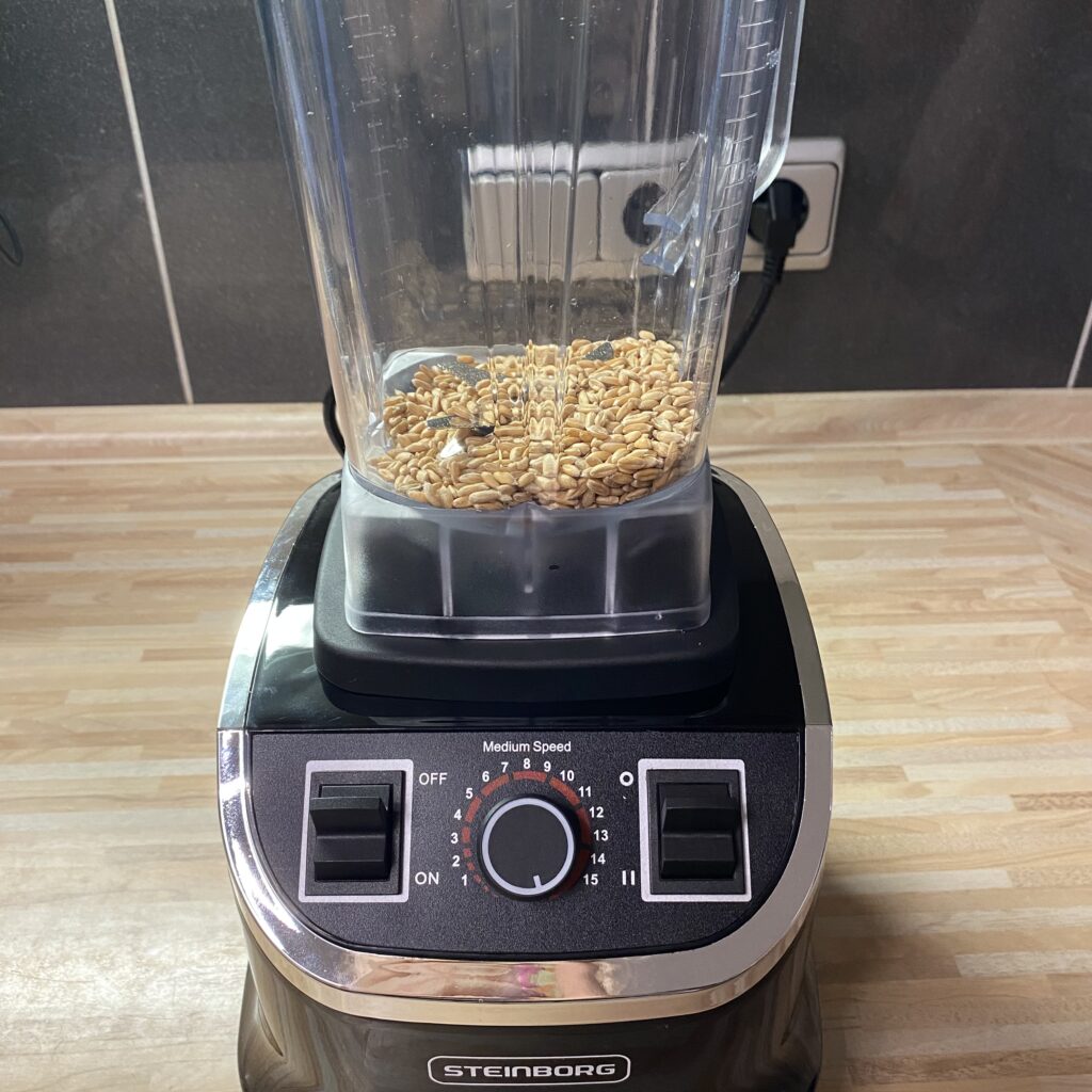 STEINBORG Standmixer SB-7060 Dinkelkörner vorher