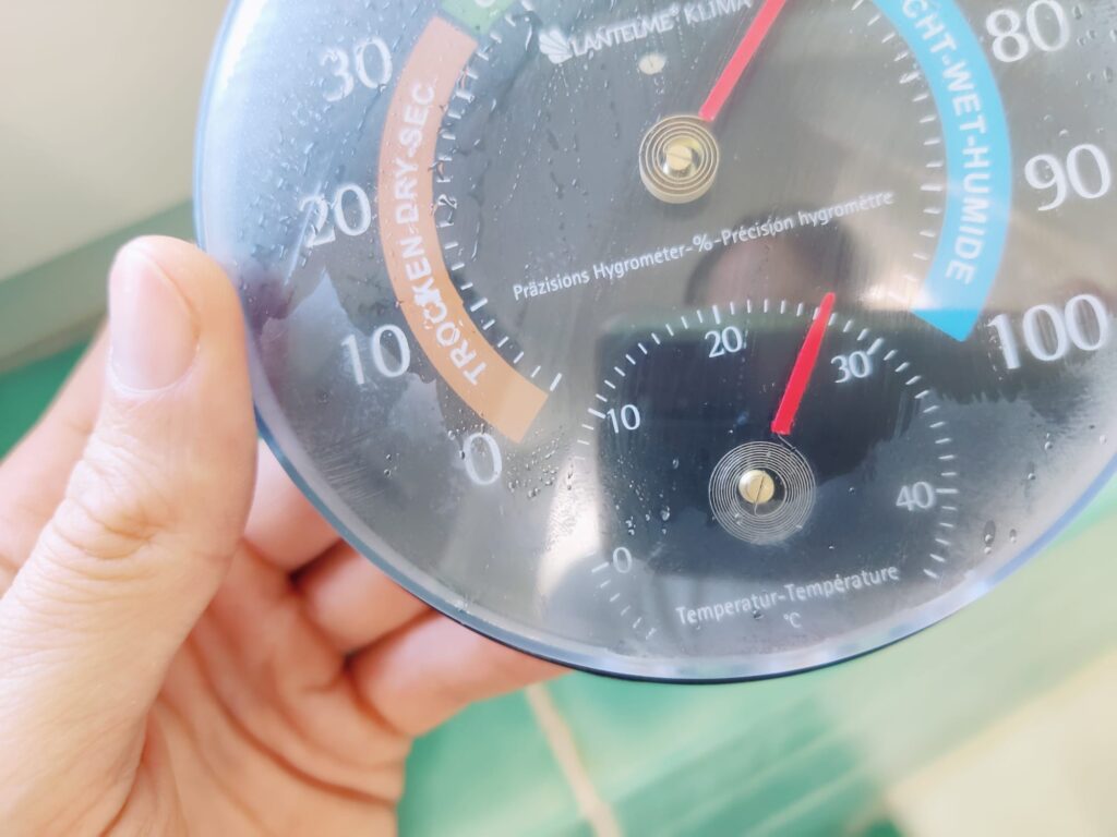 Lantelme 4127 Hygrometer Praxistest Endtemperatur